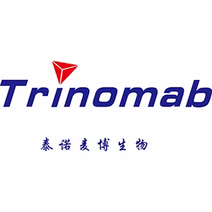 Explore the latest insights on Trinomab Biotech and its impact on China’s pharmaceutical industry. Fineline Info & Tech delivers reliable data, news, and intelligence to help you navigate the complexities of Trinomab Biotech's developments with precision and clarity. Stay informed and enhance your decision-making at flcube.com.