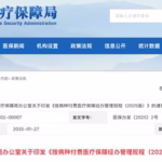 NHSA Regulates DRG/DIP Payment Methods Under '1+3+N' System