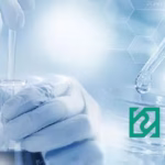 Huahai Pharma Set to Launch IL-17 Antibody HB0017 Clinical Study for HS