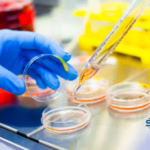NMPA Approves Sinocelltech's Finotonlimab for Head and Neck Cancer