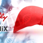 Eli Lilly Licenses OliX Pharma's OLX75016 for MASH and Cardiometabolic Diseases