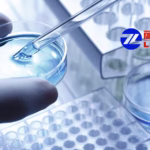 Livzon's JP-1366 Injection Gets NMPA Green Light for Peptic Ulcer Bleeding Study