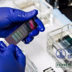 Boehringer Ingelheim Partners with ExpressionEdits on Gene Therapy Tech