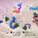 PolyMed Biopharma Licenses HPB-143 to Photys Therapeutics for Global Development