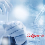 Zelgen Biopharmaceuticals' ZG005 Bispecific Antibody Receives NMPA Approval for Biliary Tract Cancer Trials