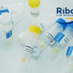 Suzhou Ribo Life Science's RBD2080 siRNA Drug Receives Australian Clinical Trial Approval