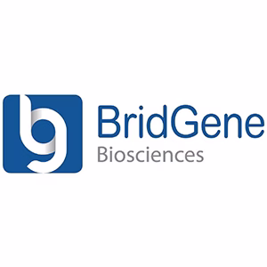 Explore the latest insights on BridGene Biosciences and its impact on China's pharmaceutical industry. Fineline Info & Tech delivers reliable data, news, and intelligence to help you navigate the complexities of BridGene Biosciences' developments with precision and clarity. Stay informed and enhance your decision-making at flcube.com.