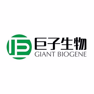Explore the latest insights on Giant Biogene and its impact on China's pharmaceutical industry. Fineline Info & Tech delivers reliable data, news, and intelligence to help you navigate the complexities of Giant Biogene's developments with precision and clarity. Stay informed and enhance your decision-making at flcube.com.