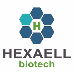 Explore the latest insights on Hexaell Biotech and its impact on China's pharmaceutical industry. Fineline Info & Tech delivers reliable data, news, and intelligence to help you navigate the complexities of Hexaell Biotech's developments with precision and clarity. Stay informed and enhance your decision-making at flcube.com.