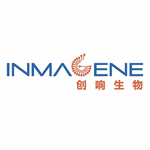 Explore the latest insights on Inmagene Biopharmaceuticals and its impact on China's pharmaceutical industry. Fineline Info & Tech delivers reliable data, news, and intelligence to help you navigate the complexities of Inmagene Biopharmaceuticals' developments with precision and clarity. Stay informed and enhance your decision-making at flcube.com.