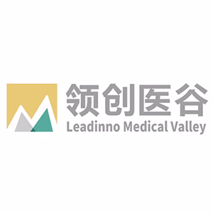 Explore the latest insights on Leadinno Medical Valley and its impact on China's pharmaceutical industry. Fineline Info & Tech delivers reliable data, news, and intelligence to help you navigate the complexities of Leadinno Medical Valley's developments with precision and clarity. Stay informed and enhance your decision-making at flcube.com.