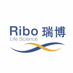 Explore the latest insights on Ribo Life Science and its impact on China's pharmaceutical industry. Fineline Info & Tech delivers reliable data, news, and intelligence to help you navigate the complexities of Ribo Life Science's developments with precision and clarity. Stay informed and enhance your decision-making at flcube.com.