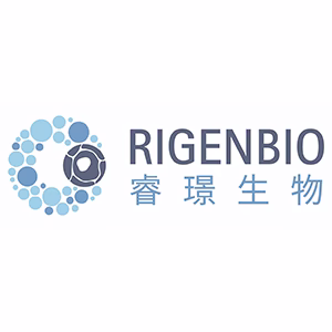 Explore the latest insights on Rigen Biotech and its impact on China's pharmaceutical industry. Fineline Info & Tech delivers reliable data, news, and intelligence to help you navigate the complexities of Rigen Biotech's developments with precision and clarity. Stay informed and enhance your decision-making at flcube.com.