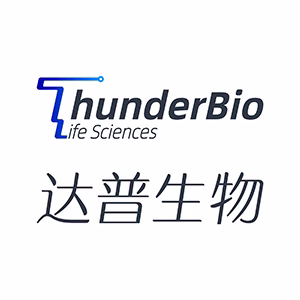 Explore the latest insights on ThunderBio Innovation and its impact on China's pharmaceutical industry. Fineline Info & Tech delivers reliable data, news, and intelligence to help you navigate the complexities of ThunderBio Innovation's developments with precision and clarity. Stay informed and enhance your decision-making at flcube.com.
