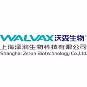 Explore the latest insights on Zerun Biotechnology and its impact on China's pharmaceutical industry. Fineline Info & Tech delivers reliable data, news, and intelligence to help you navigate the complexities of Zerun Biotechnology's developments with precision and clarity. Stay informed and enhance your decision-making at flcube.com.