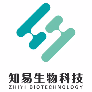 Explore the latest insights on Zhiyi Biotechnology and its impact on China's pharmaceutical industry. Fineline Info & Tech delivers reliable data, news, and intelligence to help you navigate the complexities of Zhiyi Biotechnology's developments with precision and clarity. Stay informed and enhance your decision-making at flcube.com.