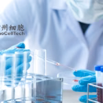 Sinocelltech's Finotonlimab Gets NMPA Approval for Liver Cancer Treatment