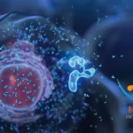 Nona Biosciences Launches Hu-mAtrIx: AI-Driven Engine for Accelerated Antibody Drug Discovery