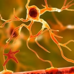 Lundbeck's Amlenetug Receives Orphan Drug Designation in Japan for Multiple System Atrophy