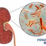 Shanghai Fosun Pharmaceutical Gains NMPA Approval for XH-S003 in PNH Treatment