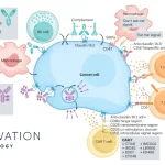 Elevation Oncology Halts EO-3021 Development After Poor Phase 1 Data