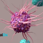 Menarini Group Partners with VisualDx to Enhance BPDCN Identification Using AI/ML Tools