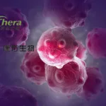 TransThera and Akeso Biopharma Collaborate on HCC Study with Tinengotinib and Bispecific Antibodies