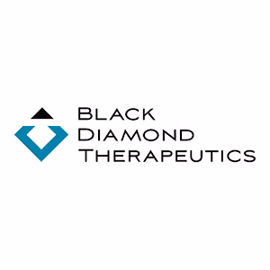 Explore the latest insights on Black Diamond Therapeutics and its impact on China's pharmaceutical industry. Fineline Info & Tech delivers reliable data, news, and intelligence to help you navigate the complexities of Black Diamond Therapeutics' developments with precision and clarity. Stay informed and enhance your decision-making at flcube.com.