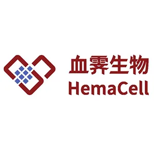 Explore the latest insights on Xueji Biotechnology and its impact on China's pharmaceutical industry. Fineline Info & Tech delivers reliable data, news, and intelligence to help you navigate the complexities of Xueji Biotechnology's developments with precision and clarity. Stay informed and enhance your decision-making at flcube.com.