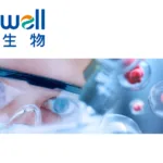 Mabwell Bioscience's 7MW3711 ADC Receives Clinical Trial Approval in China