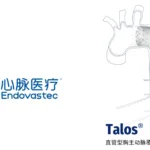 MicroPort Endovascular's Talos Stent Approved in Brazil for Aortic Dissection
