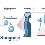 Eli Lilly Secures Global License for Sangamo's STAC-BBB Gene Therapy Technology