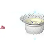 HighLife SAS's TMVR System Receives FDA Breakthrough Device Designation