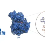 Hengrui Pharmaceuticals' Ivarmacitinib Approved for Atopic Dermatitis