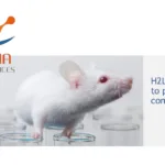Nona Biosciences and Atossa Therapeutics Forge Partnership to Advance Breast Cancer Therapies