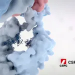 CSPC Pharmaceutical Gains FDA Approval for SYS6041 ADC in Advanced Solid Tumors