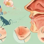 Hengrui Pharmaceuticals Gains NMPA Approval for SHR-1819 in Allergic Rhinitis Study