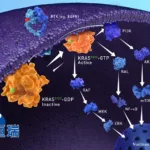 Hengrui Pharmaceuticals Gains NMPA Clearance for Phase II Study of HRS-7058 in Solid Tumors
