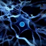 Jiangsu Nhwa Initiates Phase I Trial for NH280105, an Oral Lp-PLA₂ Inhibitor for Alzheimer's Disease