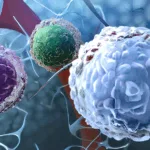 BRL Medicine Secures IND Approval for BRL-301 CAR-T Therapy in R/R B-NHL