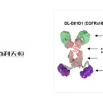 Sichuan Biokin Gains NMPA Approval for Phase II Trials of BL-B01D1 in Combination Therapies