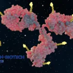 Kelun-Biotech Gains FDA Clearance for Phase I Trial of ADC SKB518