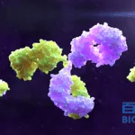 Bio-Thera Solutions Gains NMPA Clinical Approval for BAT7111 in Advanced Solid Tumors