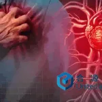 United InnoMed Closes RMB 100 Million Series B+ Funding for Heart Failure Devices