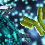 Hotgen Biotech Injects RMB 300 Million into Subsidiary Shunjing Bio for Biologic R&D