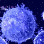 Genentech Collaborates with Repertoire Immune Medicines on Autoimmune Disease Therapies
