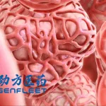 GenFleet's KRAS G12D Inhibitor GFH375/VS-7375 Gains FDA Trial Approval