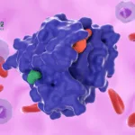 Shouyao Holdings Gets Ethics Approval for SY-5933 Phase Ib/II Study in KRAS G12C Mutated Tumors