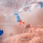 Hengrui Pharmaceuticals Gains NMPA Clinical Clearance for Camrelizumab in Acral Melanoma