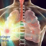 Boehringer Ingelheim's Zongertinib Shows Promising Results in HER2-Mutant NSCLC Trial
